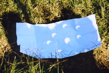 leaf patterns, crescents, solar eclipse viewing safety