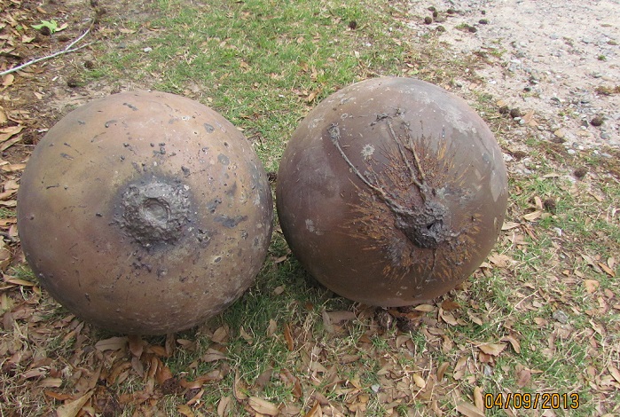 buna_spheres1and3