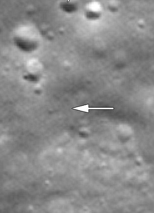 NASA Moonshot