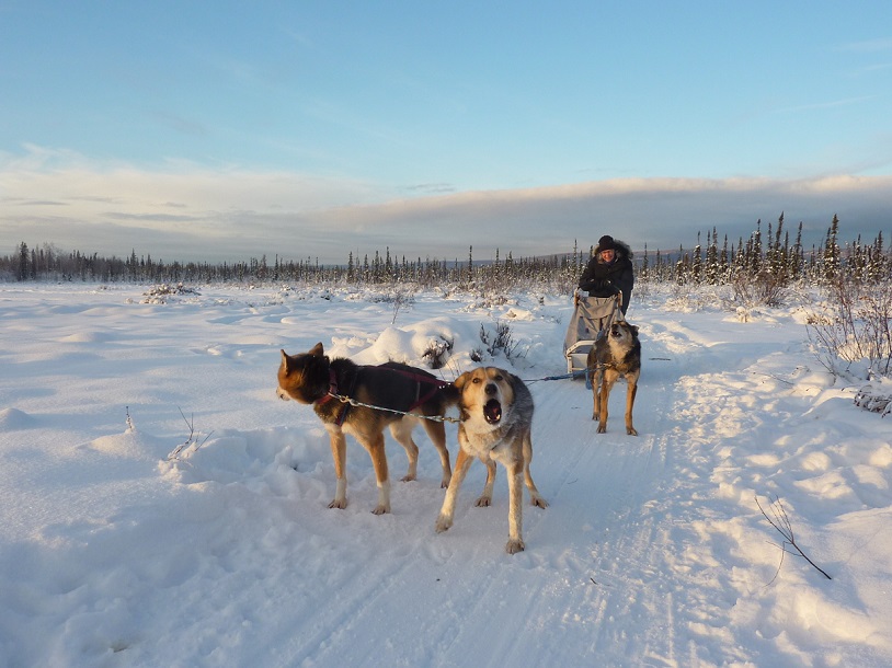 2015 Alaska Aurora Expedition 